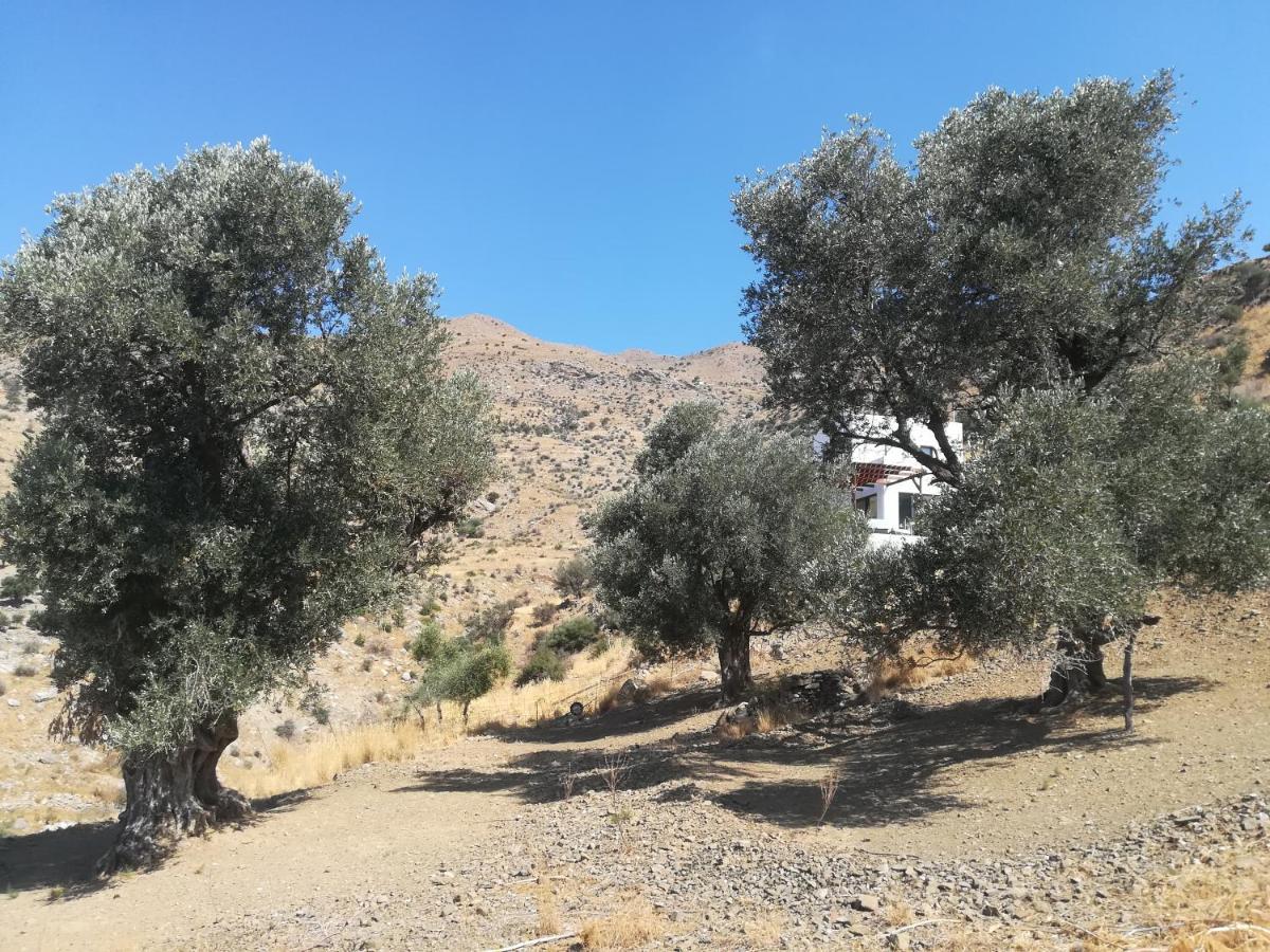 Sea Breeze Ecological Villa Agia Galini  Exterior photo